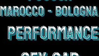 FUCSJA - PORCELLA DEL MAROCCO