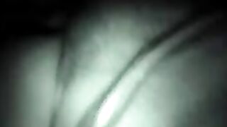 FUCSJA - PORCELLA DEL MAROCCO