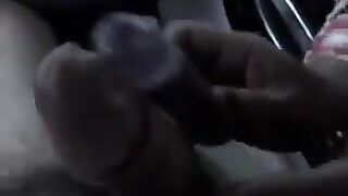 FUCSJA - PORCELLA DEL MAROCCO