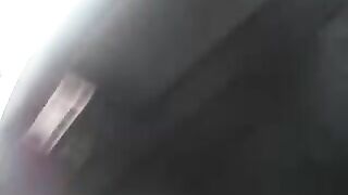 VAI NINA - LE AVVENTURE DELLA PORCELLA