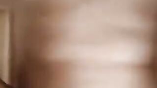 VAI NINA - LE AVVENTURE DELLA PORCELLA