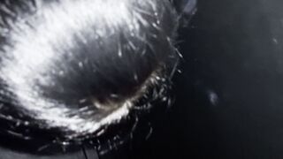 la mia piccola succhia cazzi dal buco2 glory hole