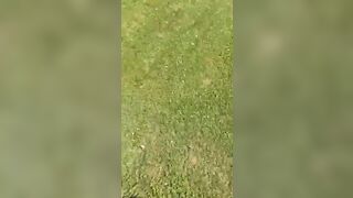 All'agriturismo lei non voleva pranzare ma voleva succhiare