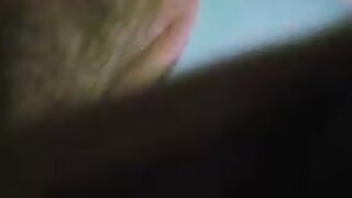 SILVANA BADANTE  PORCELLA