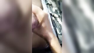 Trombata nell'auto dall'amico maiale