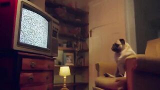 Anteprima del video: Alla spa la puttana offre la fica al coglione di turno