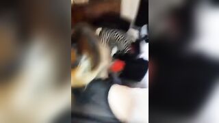 FAI VEDERE A TUTTI QUANTO SEI PUTTANA !