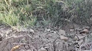 Coppia si sollazza in spiaggia solitaria