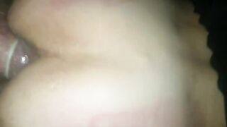 finalmente un vero toro