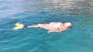 Una papera che galleggia