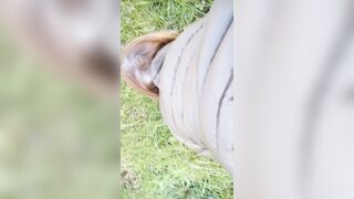 Voglia improvvisa nel parco cittadino