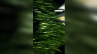 La fidanzata del mio amico ha un bel culetto