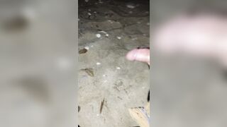 Sborra sotto le stelle