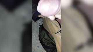 Sborra sotto le stelle