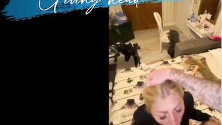 Bella fa un pompino, viene scopata a pecora e si becca una bella sborrata in faccia