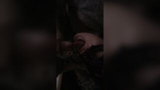 Sborro in un occhio a moglie troia