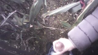 Sega all'interno di un campo di mais con diversa gettata di sborra