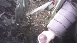 Anteprima del video: Sega all'interno di un campo di mais con diversa gettata di sborra