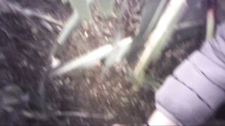 Sega all'interno di un campo di mais con diversa gettata di sborra