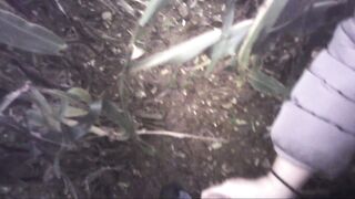 Sega all'interno di un campo di mais con diversa gettata di sborra